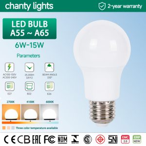 LED BULB-A55 A60 A65