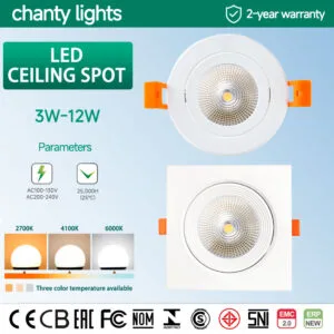 LED CEILING SPOT
