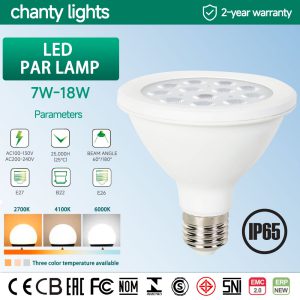 LED PAR LAMP