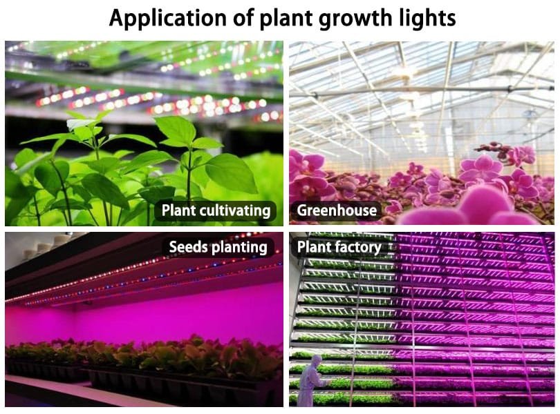 Application of plant growth lights