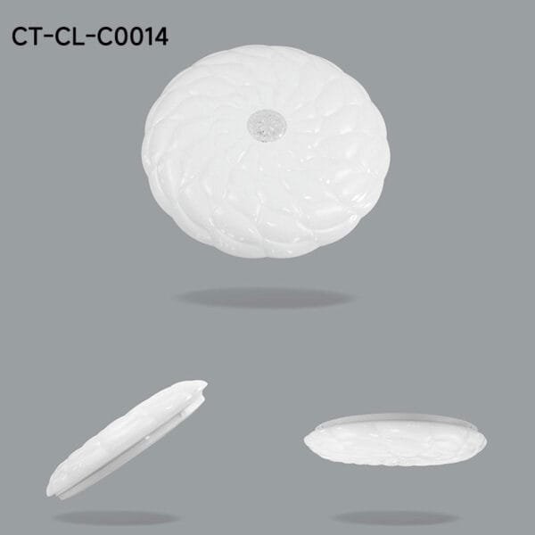 CT-CL-C0014