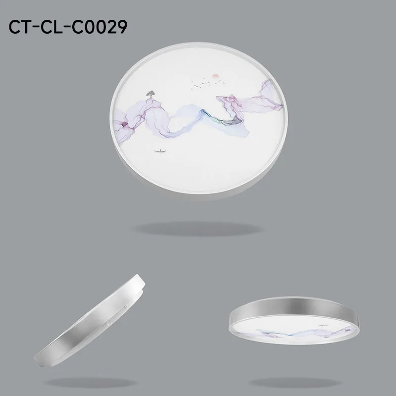 CT-CL-C0029