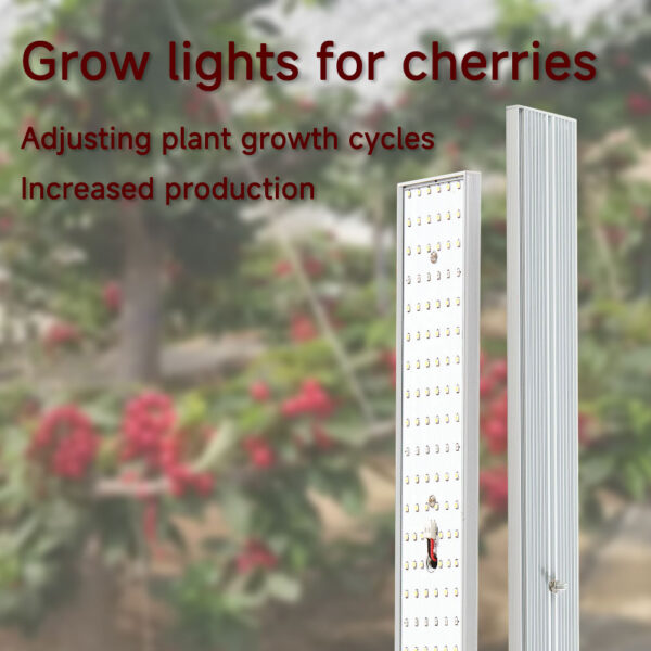 Cherry Plant Growth Light