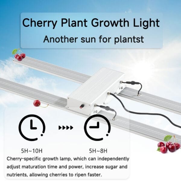 Cherry Plant Growth Light