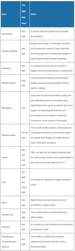 Effects of light quality on plants (excerpt)