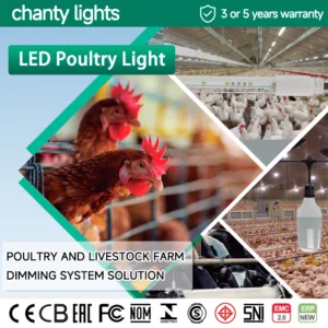 LED Poultry Lighting