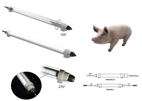 LED Poultry Lighting - Image 5