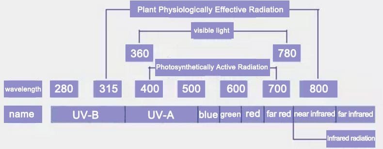 Plant Physiologically Effective Radiation