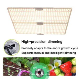 cannabis-plant-grow-light cannabis-plant-grow-light