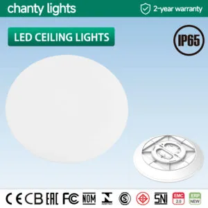 LED CEILING LIGHT