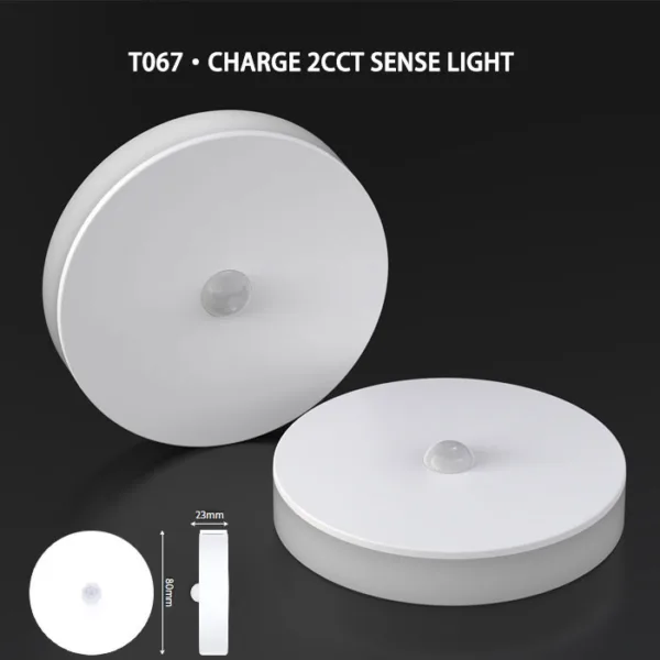 Night Light - Image 6