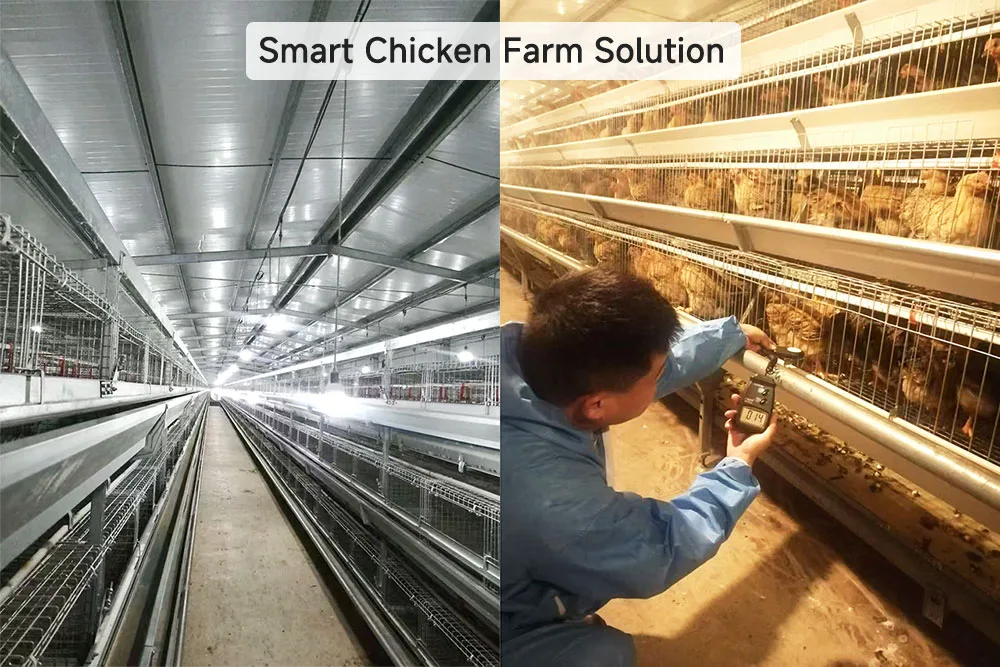Smart-Chicken-Farm-Solution