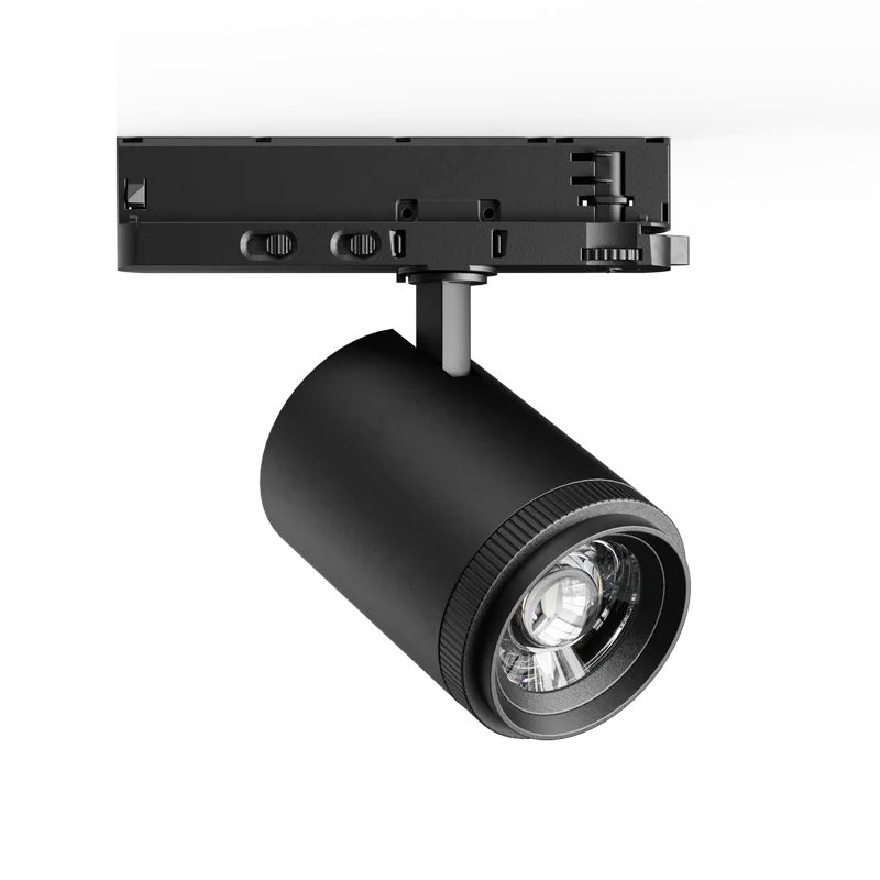 Eagle Eye Track Lighting